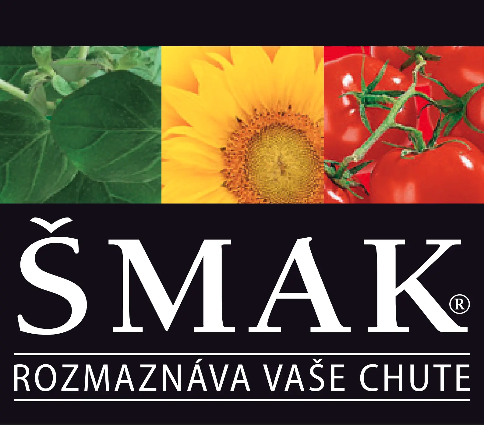 Šmak Logo
